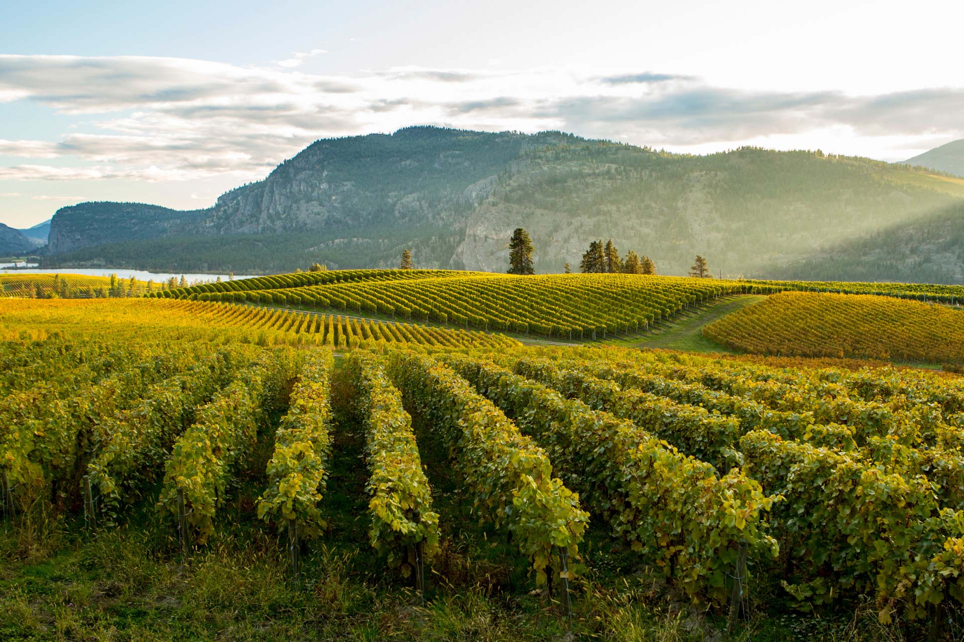 Doak Shirreff Kelowna Lawyers Okanagan Law Firm