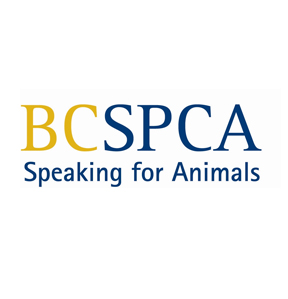 Read more on SPCA