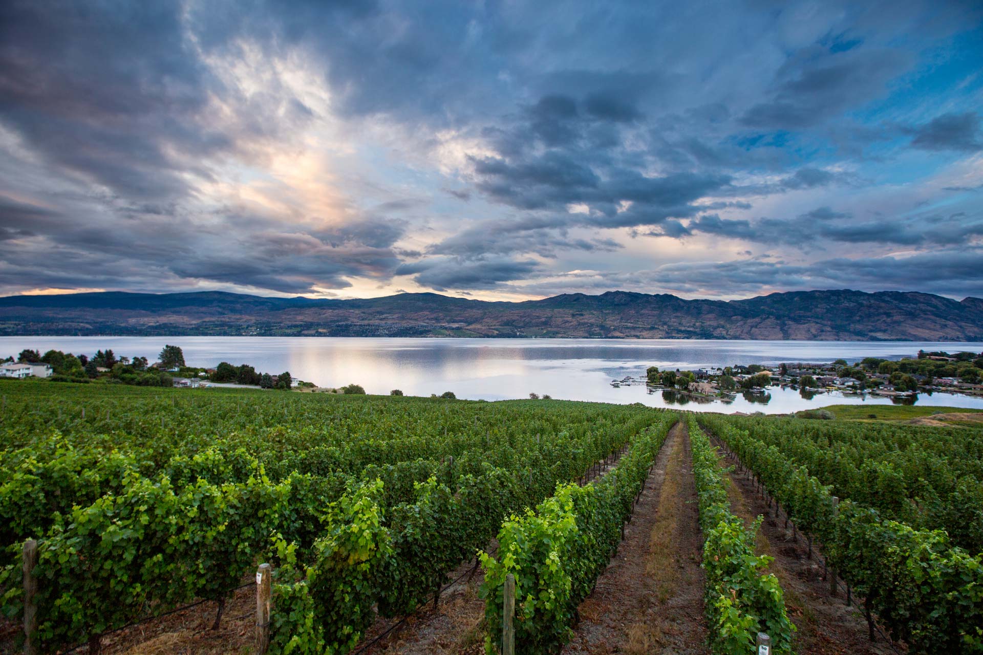 Doak Shirreff Kelowna Lawyers | Okanagan Law Firm | Vineyard and Okanagan Lake